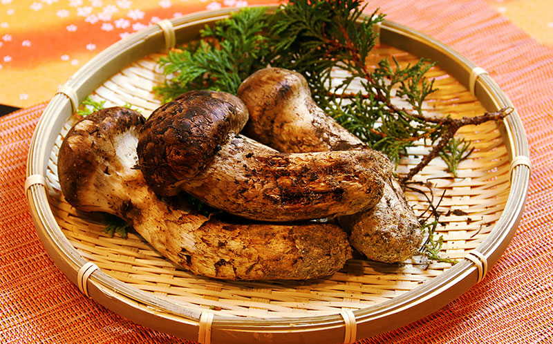 秋Mushroom dishes山の味覚 秋の恵み